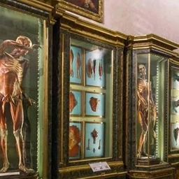 ’L’altra’ guida. Viaggio in Italia con la lente della scienza